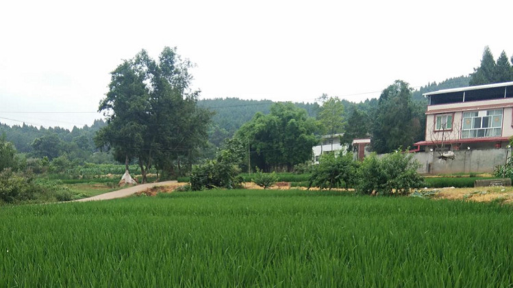 光铭防辐射工程带你走入新农村、走进大自然